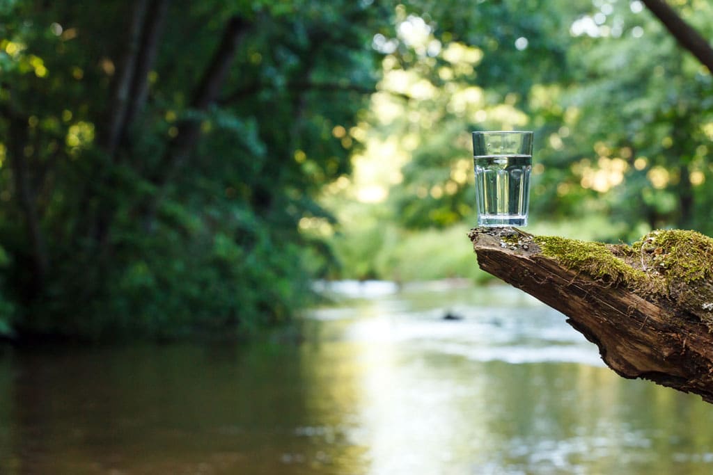 Glass of spring water near a river