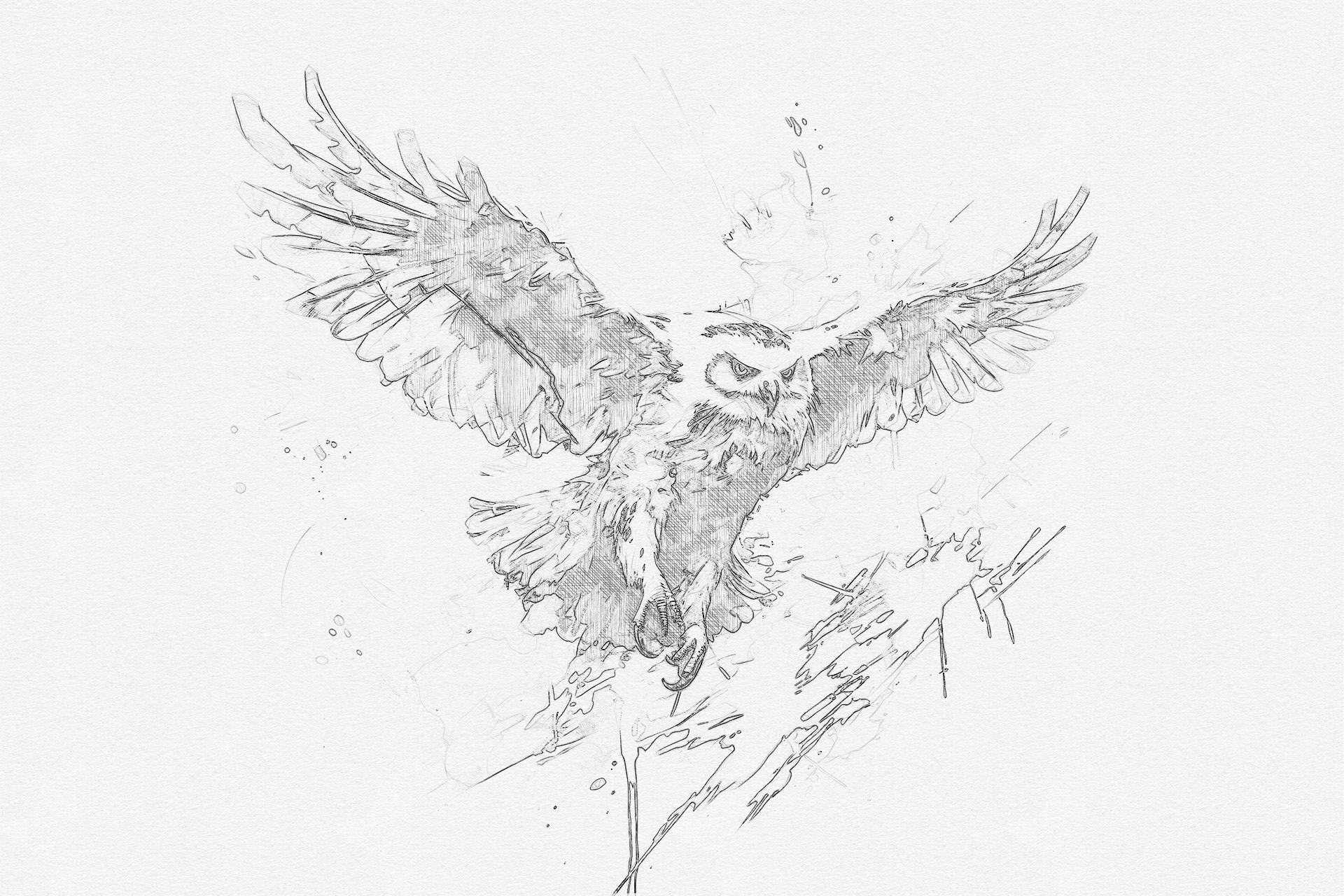 West Highland Spirits Owl Sketch