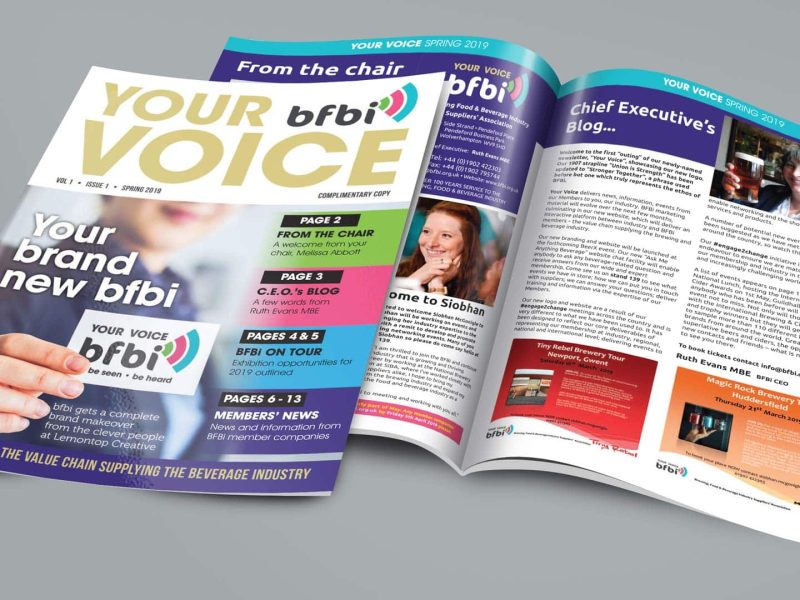 BFBi Brochure Design, Magazine Design